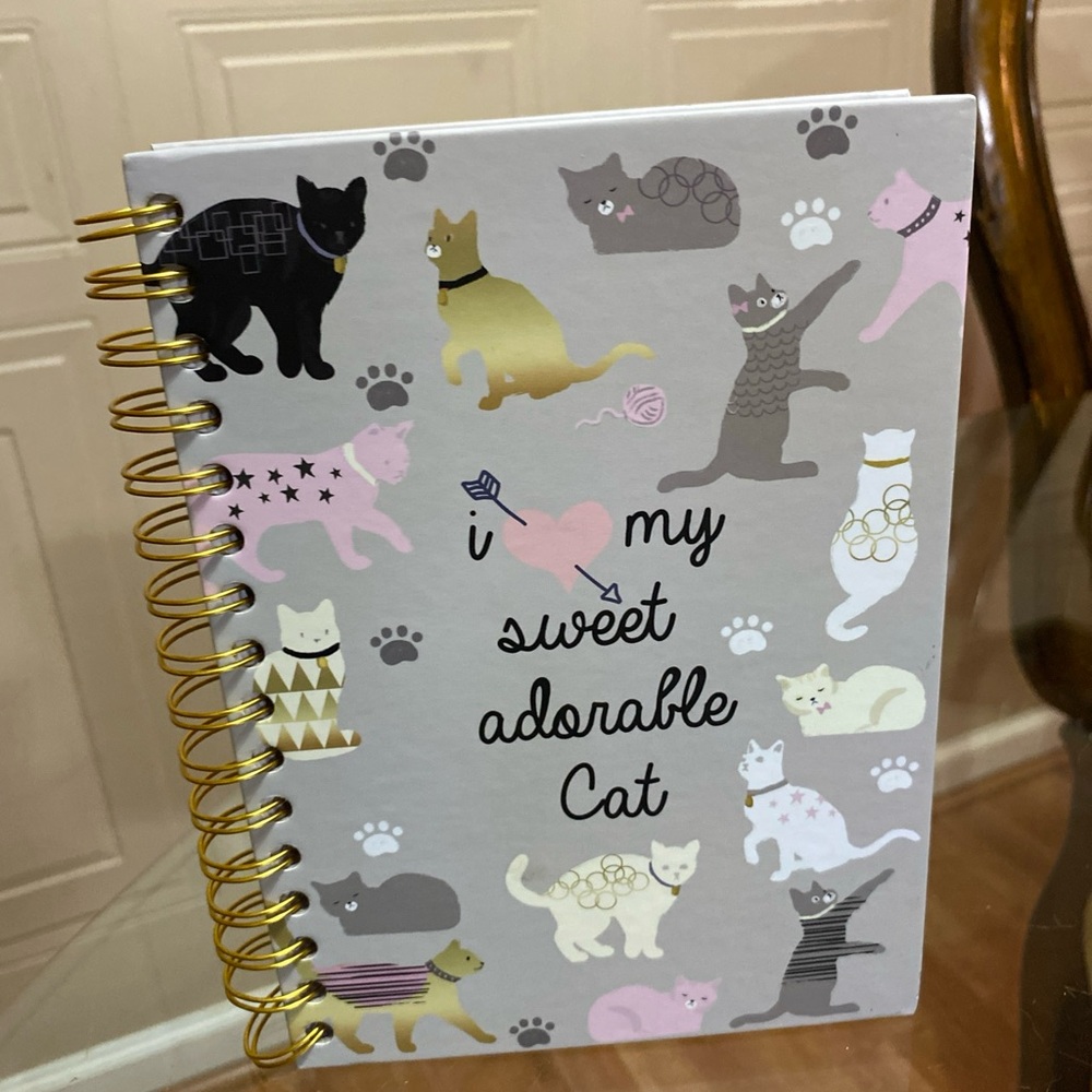 - Chasing Lola  notebook.
